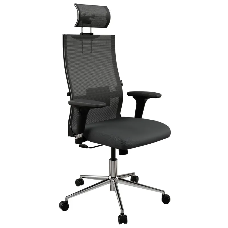 Кресло руководителя Ergolife Sit Air 24/7 B2-281D - Italy+UMF(X1) главное фото
